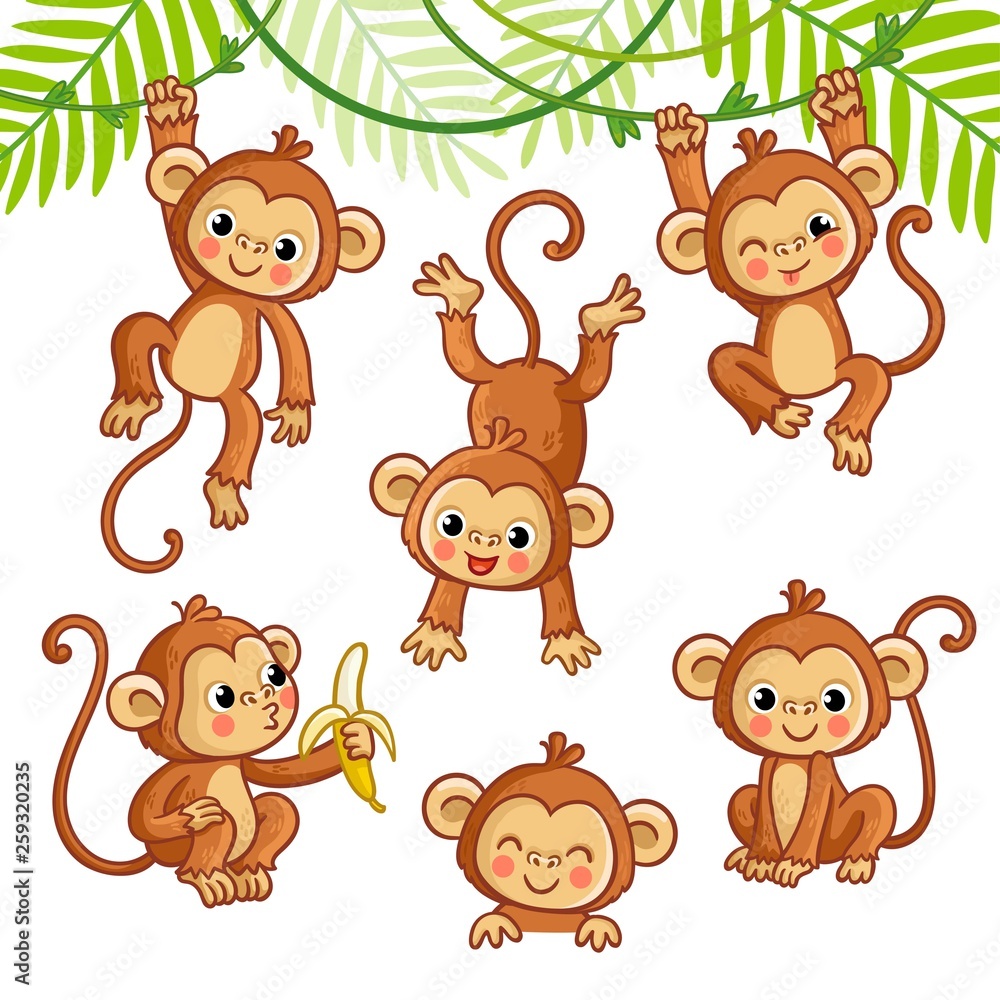 Vector set with monkey in different poses. Vector set with monkey in different poses.