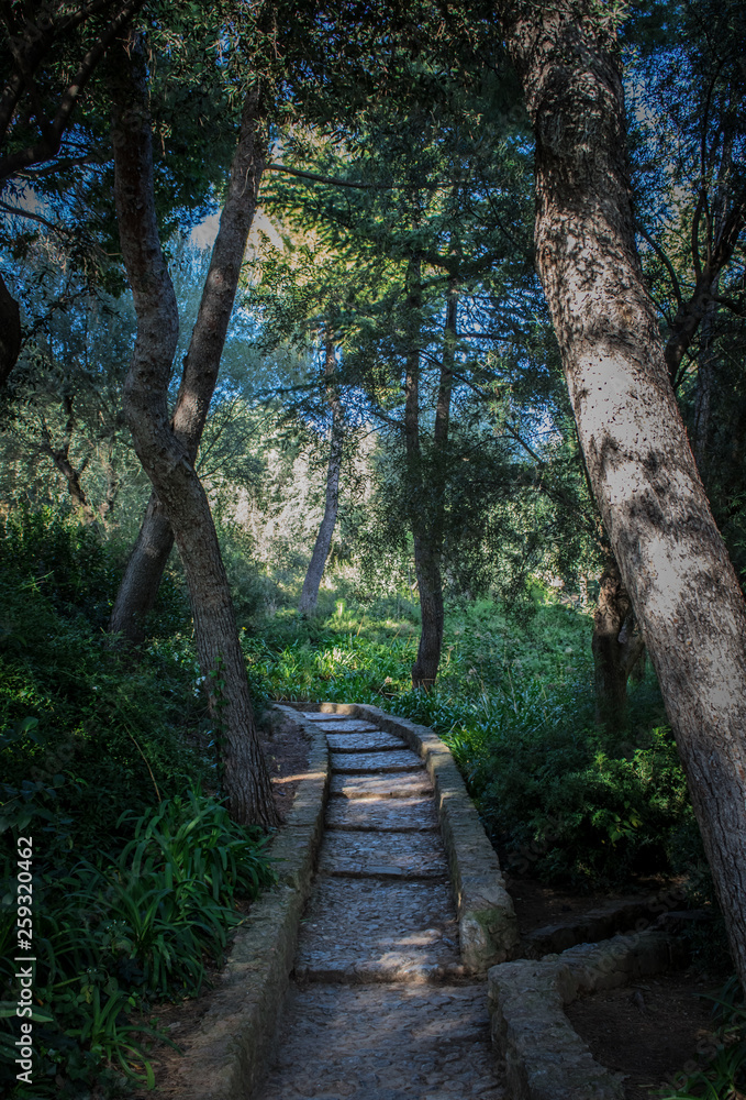 Taking a walk through Park Güell, Barcelona; Spain