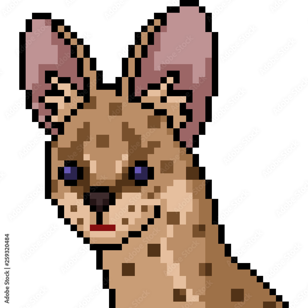 Fototapeta premium vector pixel art wild cat