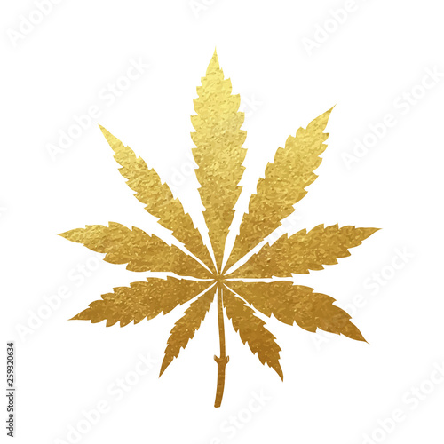 Gold cannabis leaf vector