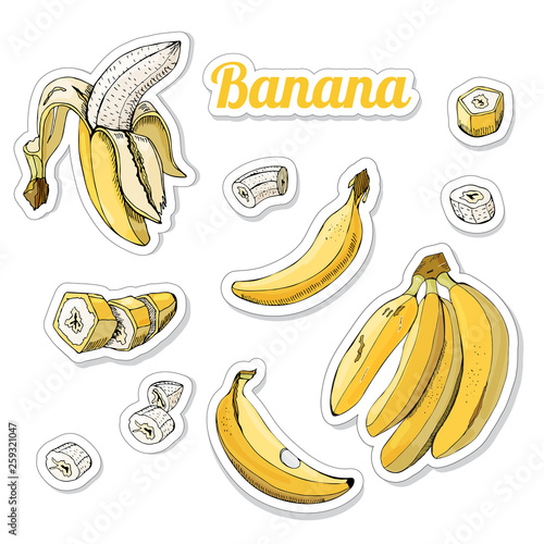 Color set with stickers of yellow bananas. Whole and sliced elemets isolated on white background. Hand drawn sketch.