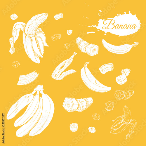 Inverted collection of white  bananas. Whole and sliced elemets isolated on yellow  background. Hand drawn sketch.