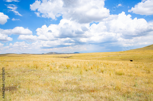Scenic grassland near Folsom in New Mexico, USA