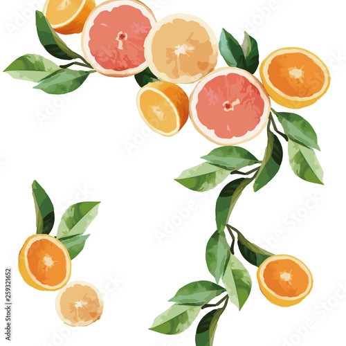Orange and leaves illustration