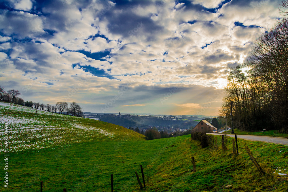 Obraz premium Field in Goé