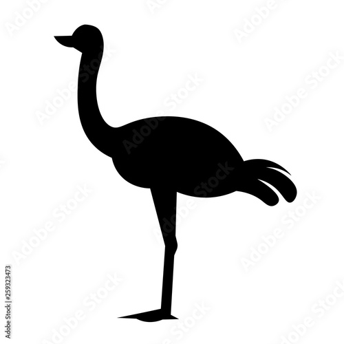 Ostrich Icon Vector