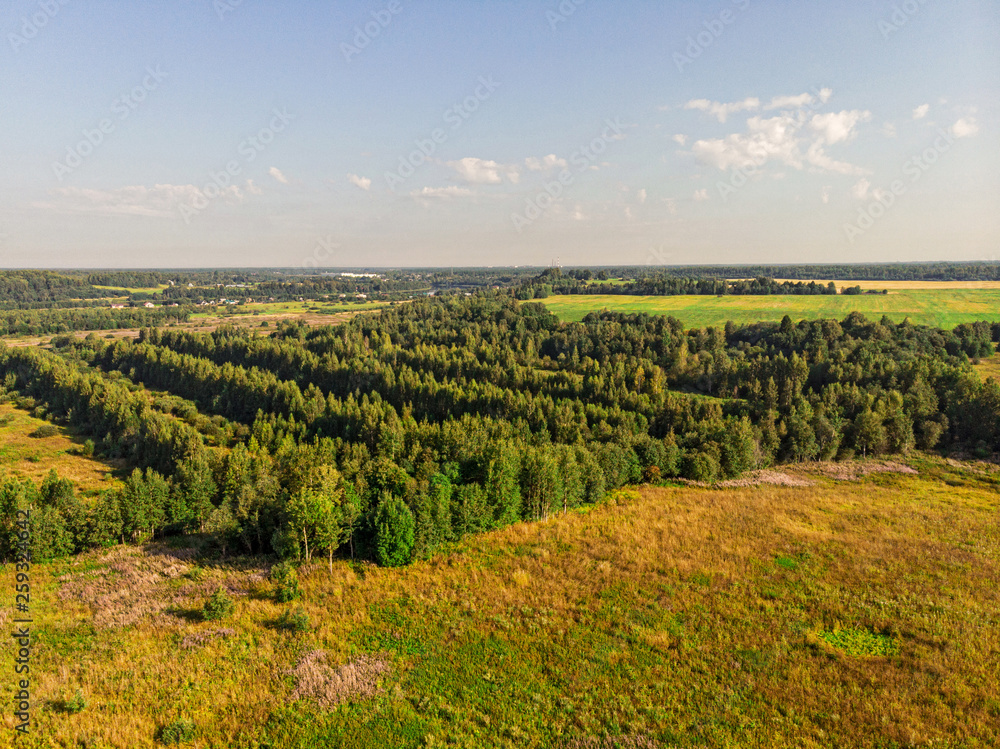 View of the summer forest from the drone