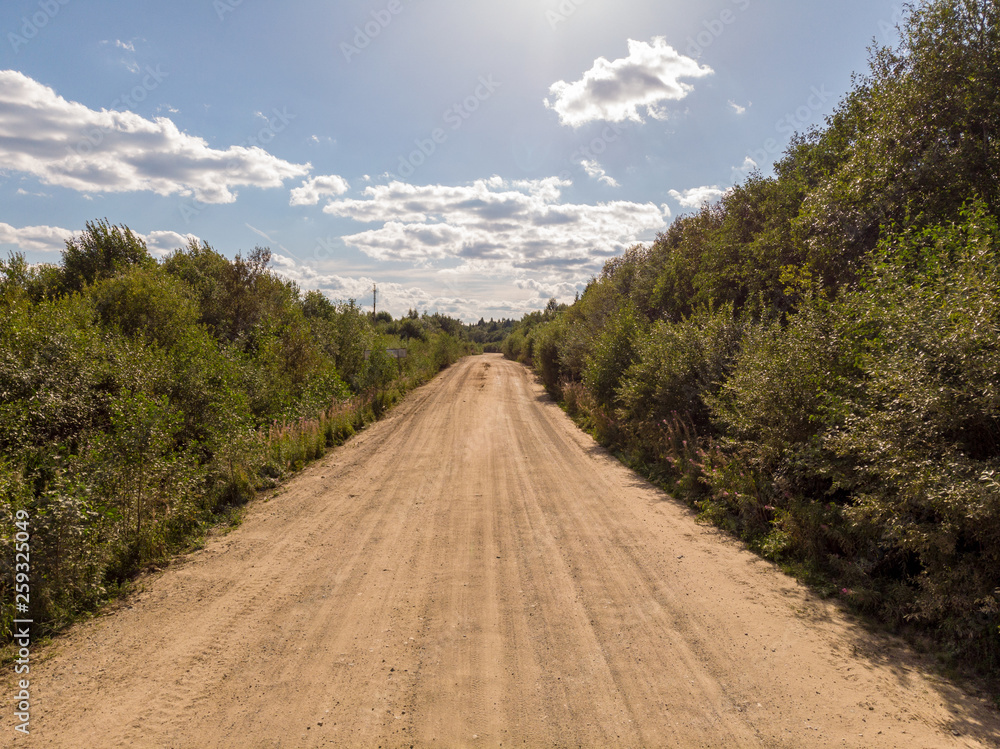 Road in the green forest in summer Road in the green forest in summer