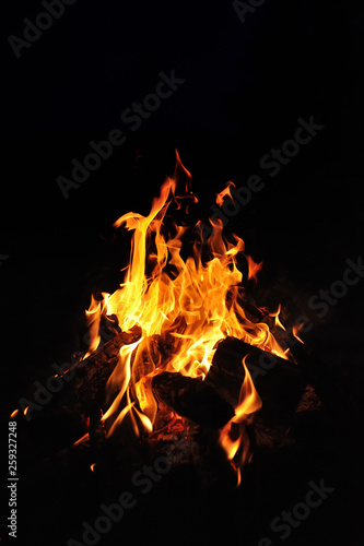 A beautiful flame of a burning fire with wood on a black background. Close-up