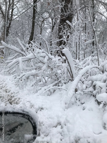 First Snowfall in my backyard
