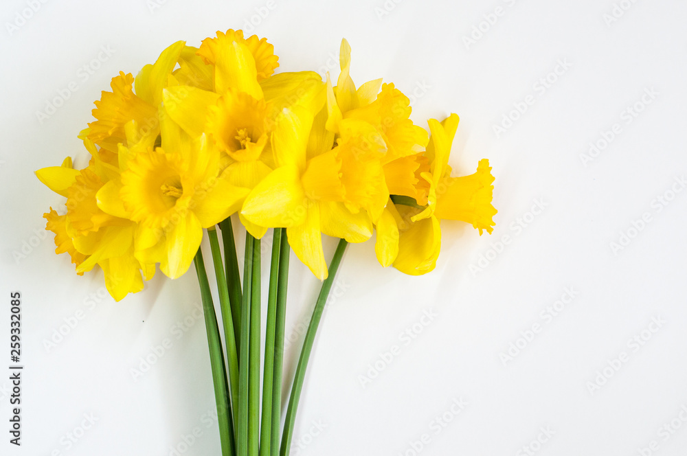 Yellow daffodil. A beautiful spring bouquet.