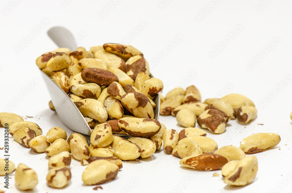 Brazil nut Brazil nut