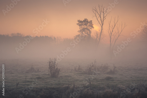 Foggy morning in the valley of the Jeziorka river near Piaseczno, Masovia, Poland