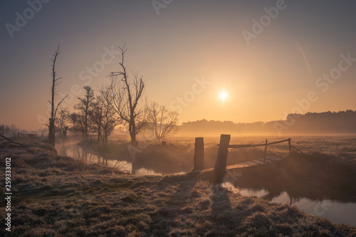 Obraz na płótnie Sunrise over the wooden bridge in valley of the Jeziorka river near Piaseczno, Masovia, Poland w salonie