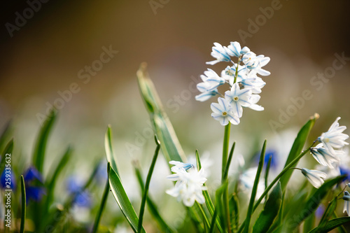 FRühling Ostern deutschland