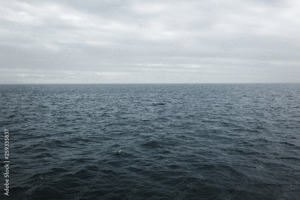 view from the ship of the water of the Atlantic Ocean from Iceland
