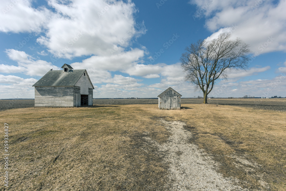 A barn, a shed and a barren tree deep in the midwest heartland A barn, a shed and a barren tree deep in the midwest heartland