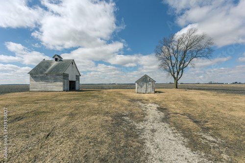Canvastavla A barn, a shed and a barren tree deep in the midwest heartland