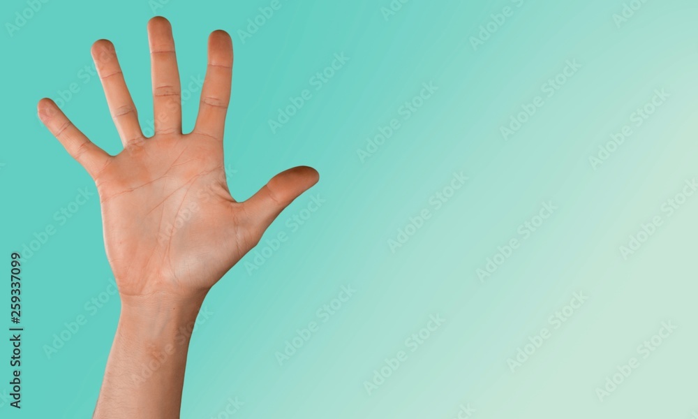 Young woman showing four fingers with hand on blue background Young woman showing four fingers with hand on blue background
