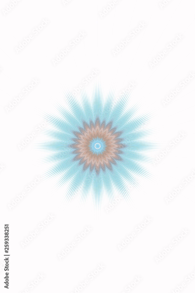 flower pattern floral kaleidoscope isolated. style. flower pattern floral kaleidoscope isolated. style.