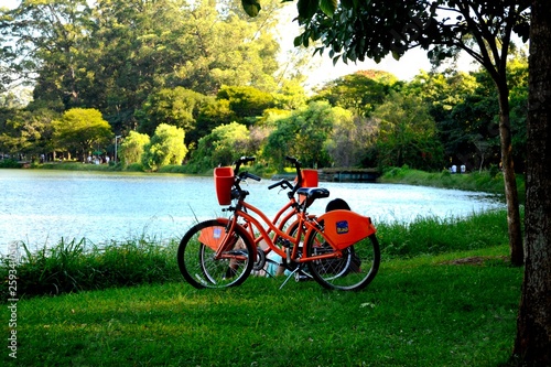 Parque Ibirapuera