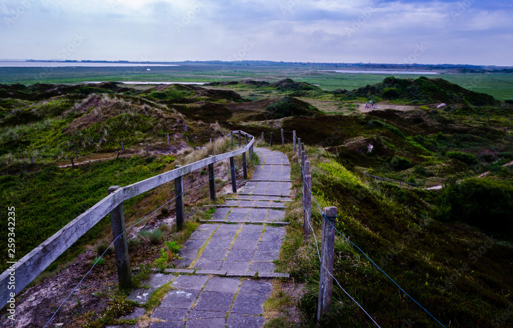 Fototapeta premium Downstairs