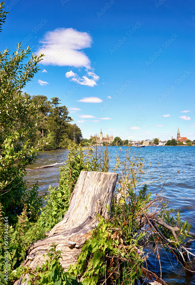 Tree trunk on lake Schwerin with castle and dome in the background.
