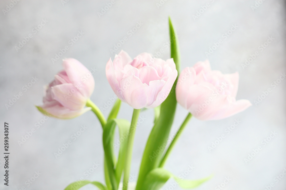 Pink tulips in vase on grey background
