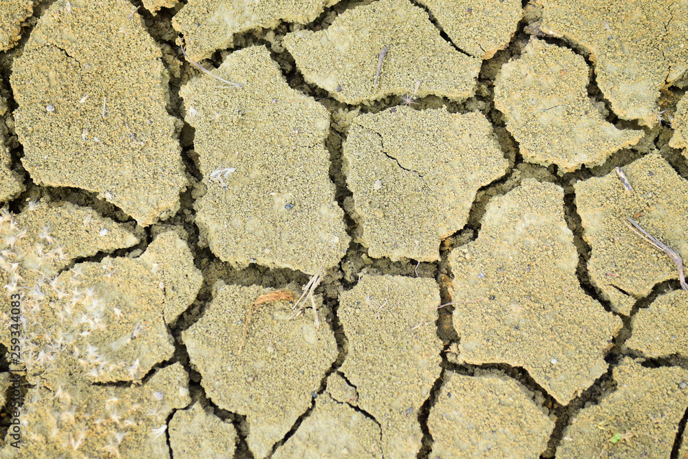 Obraz premium cracked ground texture
