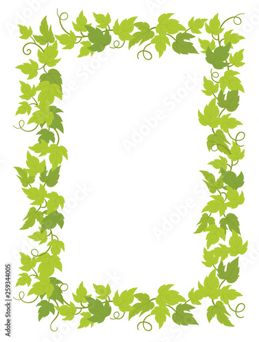 Grapevines plant frame A4 sheet wine list. Rectangular border grape frame. Space place for text name or logo. Vector flat Illustration. Green leaves. Copy space.