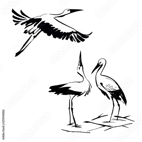 storks, ink drawing, set