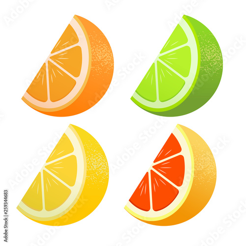 Set of citrus. Lemon, lime, grapefruit, orange. Lobules Flat realism style. Cartoon style. Vector illustration.