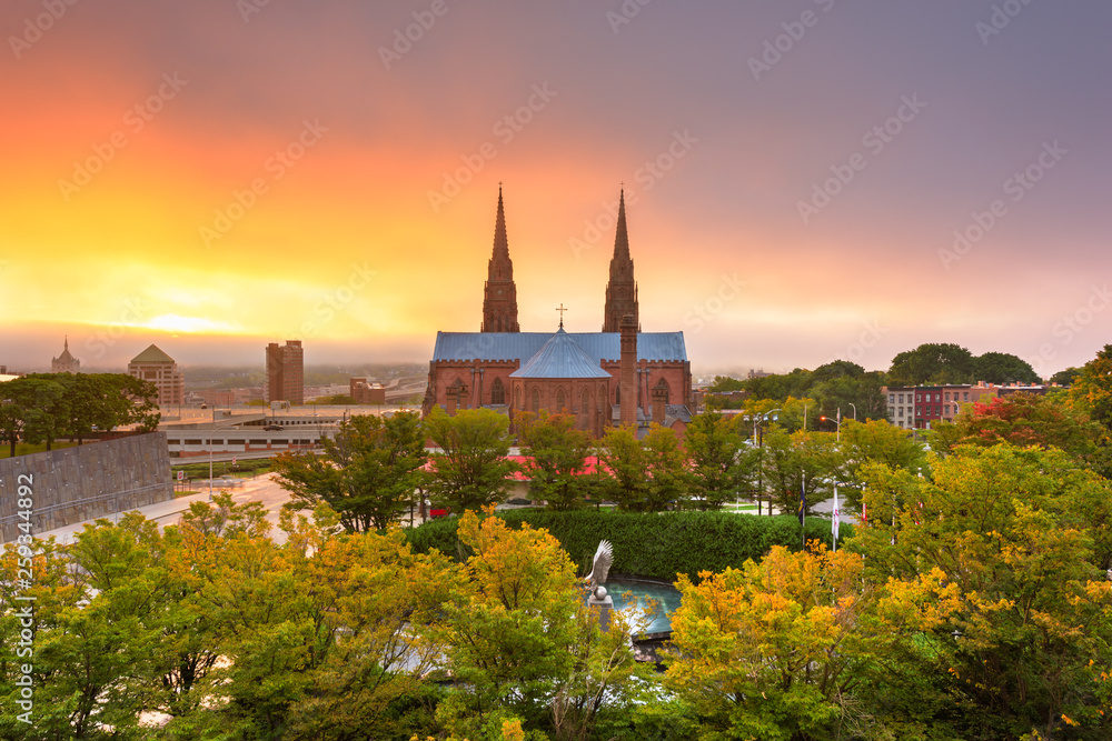 Obraz premium Cathedral of the Immaculate Conception