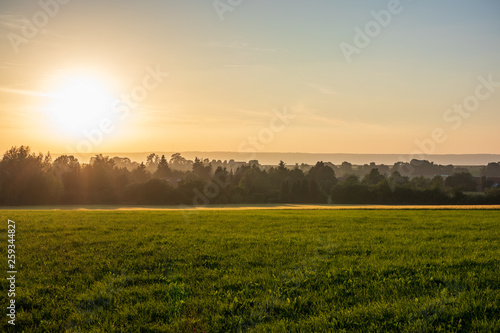The sunset over wheat field in Germany © wlad074