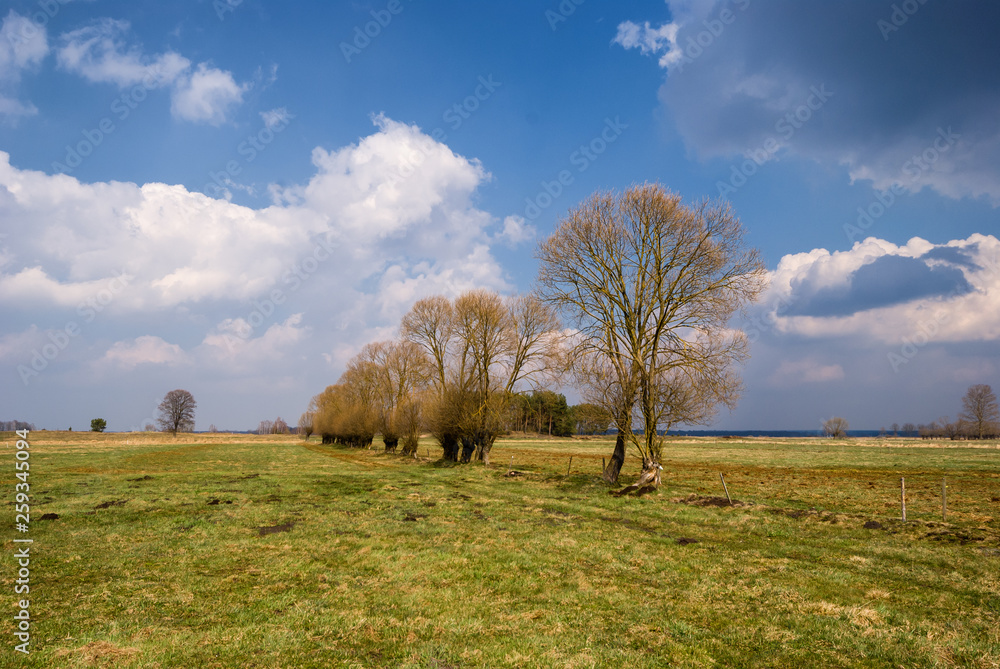Krajobraz wiejski Podlasia, Wiosna na Podlasiu