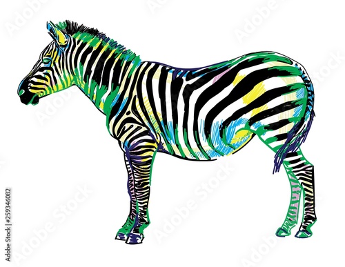 Zebra pattern markers. Pop Art. Bright print  colored spots. Freehand drawing. Zebra in full growth.