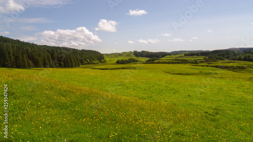 Forests and fields on the Isle of Mull  Scotland. Warm sunny weather  one of the days of midsummer