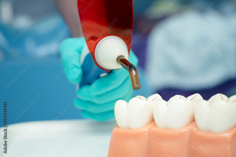 Dental Equipment with dental model Dental Equipment with dental model
