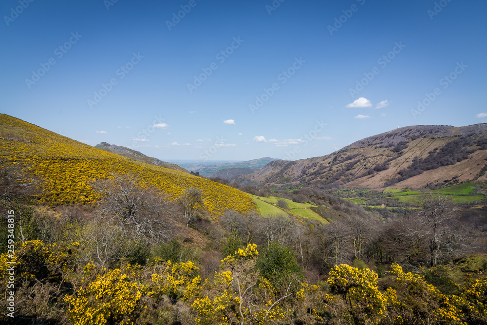 Fototapeta premium Randonnée Pic du Mondarrain (749m) depuis le col des Veaux