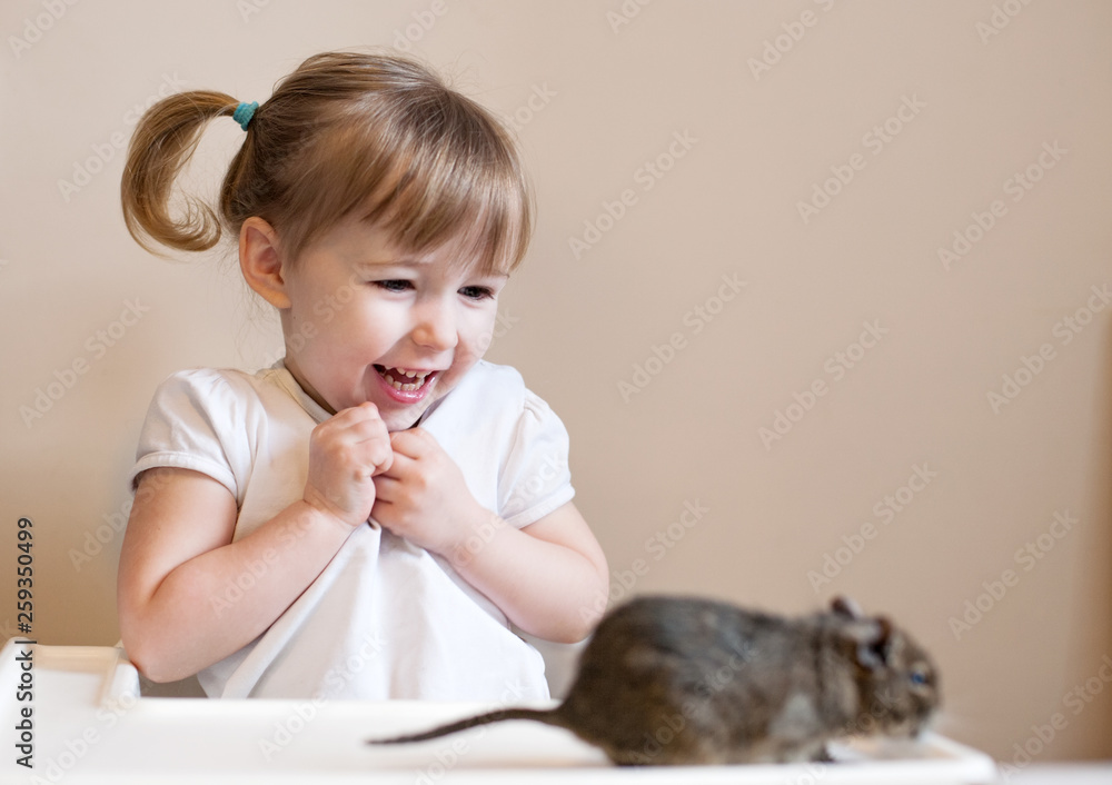 two years old caucasian girl with gray mouse two years old caucasian girl with gray mouse