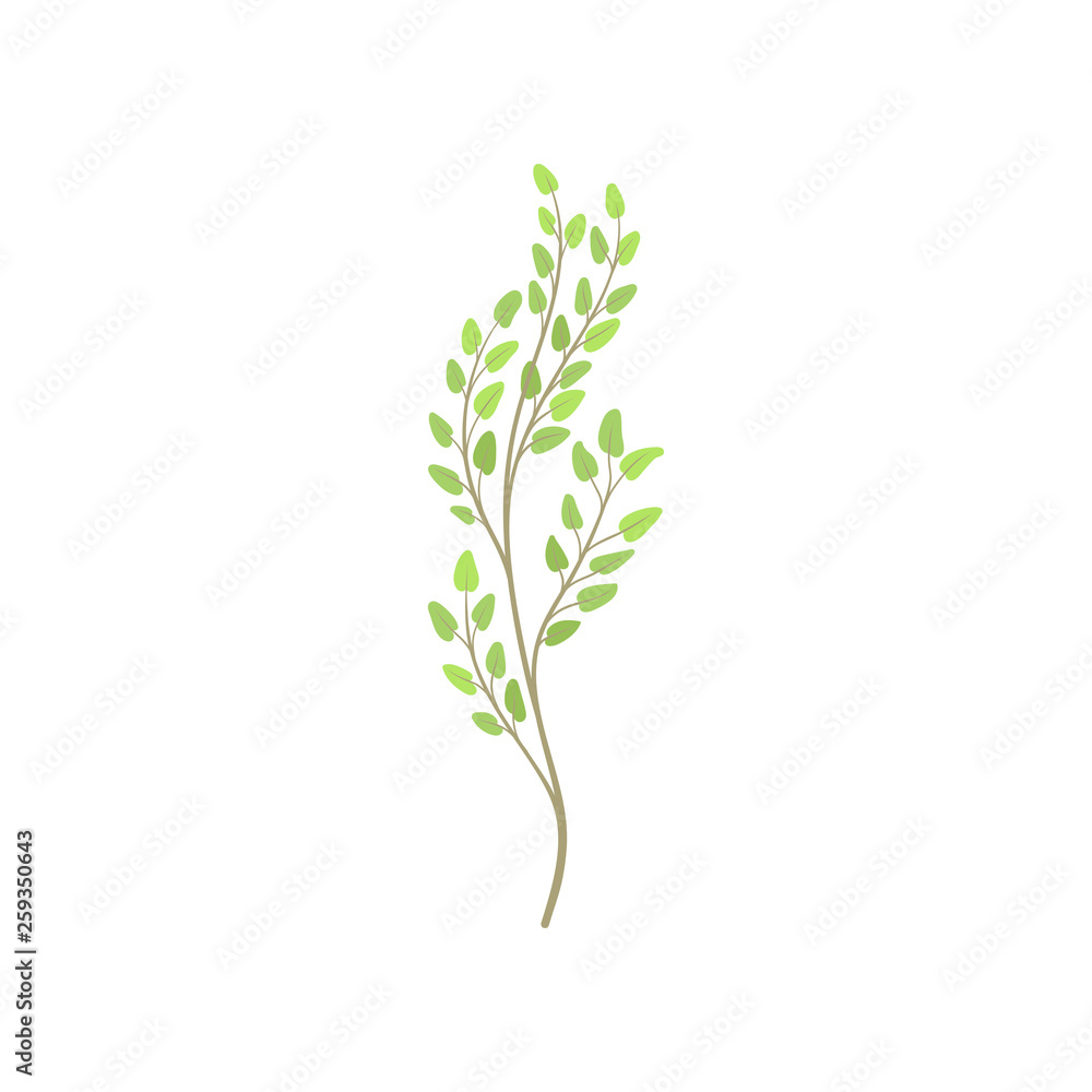 Cartoon young tree branch with green foliage.