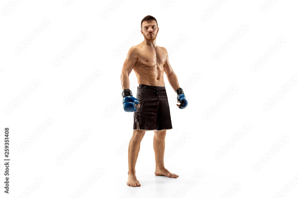 Professional boxer boxing isolated on white studio background