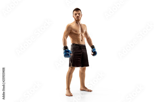 Professional boxer boxing isolated on white studio background