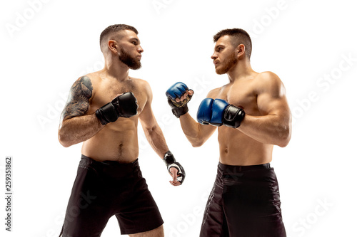 Two professional boxers boxing isolated on white studio background