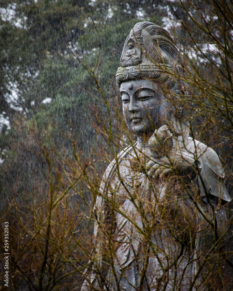 Statue in the temple Statue in the temple