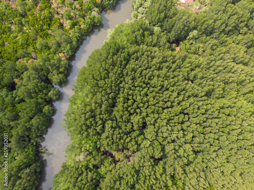 Aerial view Tropical mangrove forest Natural attractions