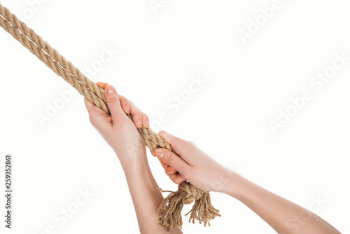cropped view of woman holding jute brown ropes in hands isolated on white