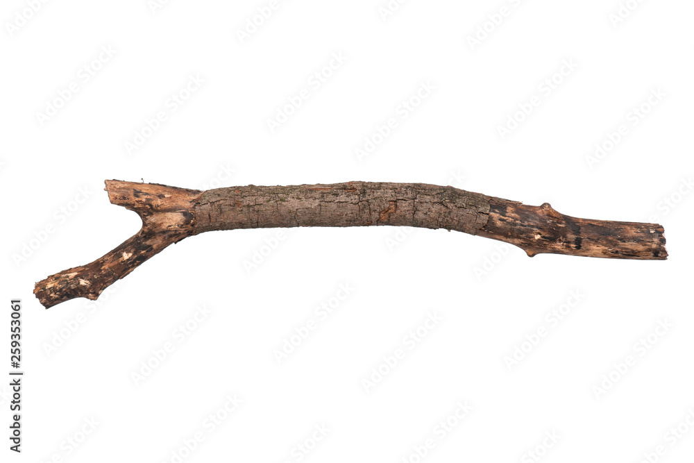 Wooden Branch Stick