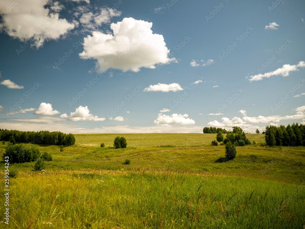 landscape with wheat field and blue sky landscape with wheat field and blue sky