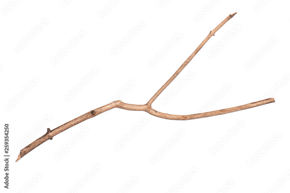 Single dry tree branch, isolated on white background. Stick tree branch from nature for design. Single dry tree branch, isolated on white background. Stick tree branch from nature for design.